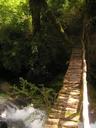 Bridge in Pumalin Park.